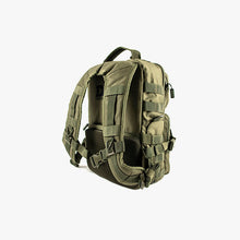 Load image into Gallery viewer, Triad Pack
